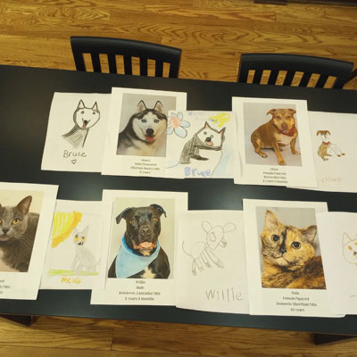 kids illustrations of the shelter pets